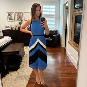 Banana Republic Chevron Pleated Dress